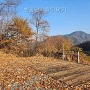 달사랑