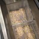 쿠우쿠우진주점 | 진주 초밥뷔페 주차까지 편한 프리미엄 뷔페, '쿠우쿠우' 진주점