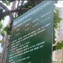 이문 | 대구 I 비마이문(범어동 휘낭시에 디저트 카페) 방문 후기