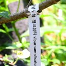 핑크뷰티
