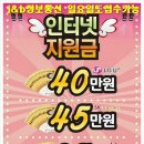 대우정보통신