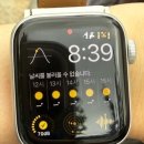 미스터브라더스 | 도쿄 여행 ③ 도쿄 디즈니씨