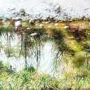 수채화 물빛그림 이미지