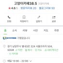 고양이카페38.5 이미지