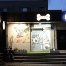 반려반상 이미지