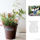 구떼 - 구미시 인동32길 43-1 | 구떼