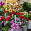 강북화원 이미지