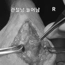 부평 모모 동물병원 이미지