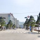 가로수길 이미지