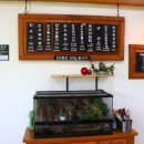 정품한우 이미지