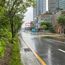 덕진-35 이미지