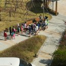 벌키키즈 36.5 수영장 이미지