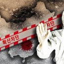 대구방역 이미지