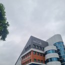 한국 그림책 톺아보기 | 대구 서부도서관 한국 그림책 톺아보기 4주 특강 조성순 강사