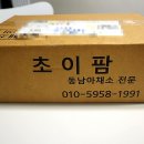 초이팜