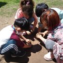 은하자연어린이집 이미지