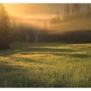 성현교회앞 이미지