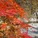 하옥계곡별빛민박 이미지