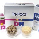 데이앤나이트 이미지