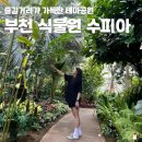수피아어린이집 | 부천 식물원 수피아 할인 입장 상동호수 공원 방문
