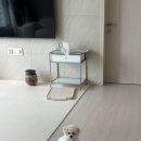 배넷 | [천안 불당동] 아리스타펫살롱 배넷미용/애견미용 후기 (1cm 클리핑 + 귀툭튀 가위컷)🐶✂️