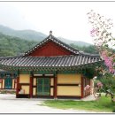 신광사 이미지