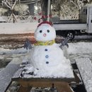 세븐일레븐안성공도우림점 이미지