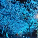 마이산 꽃 펜션 이미지