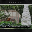 원주민부동산중개주식회사 | 일본 사람들이 집을 사지 않는 2가지 이유ㅣ도쿄 임장 후기 (2026.3.19.) #Turbo832TV