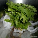 동부참기름 티스토리