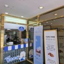 나비빵 | 군산 이성당 빵 추천 솔직후기! 단팥빵·나비파이·흑임자크림슈 등 빵순이 먹어본 리뷰