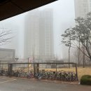 [+2796일] 2월말 캠핑, 생일, 가마보코 3M텐트 우레탄창.