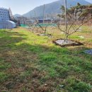 내척농장 이미지