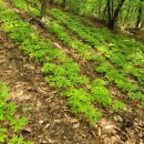 심원농장 이미지