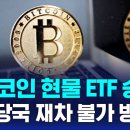 한국 비트코인 현물 ETF 승인 금융당국 재차 불가 방침 이미지