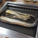 갯마을장어구이 티스토리