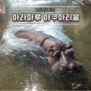 마루농장 | 사천 아라마루 아쿠아리움 체험기 아이랑 가볼만한 실내 여행지