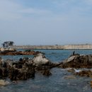 연곡해변 이미지