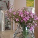 칸나하우스 이미지