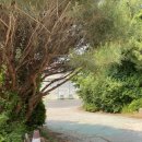 상록참숯가마찜질방 이미지