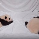 애들나라 이미지