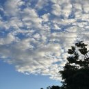 (주)곰바위 이미지