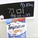 식빵굽는나비 이미지