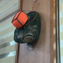 탑동산호전복 이미지