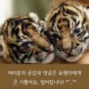 한성할인마트 이미지