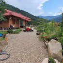 정희네 들꽃이야기 이미지