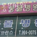 세브란스 동물병원 이미지