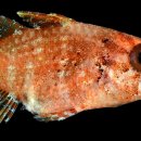 TO PC ZONE 이미지