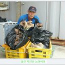 흥국농장 Daum카페