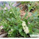 우석농장 이미지